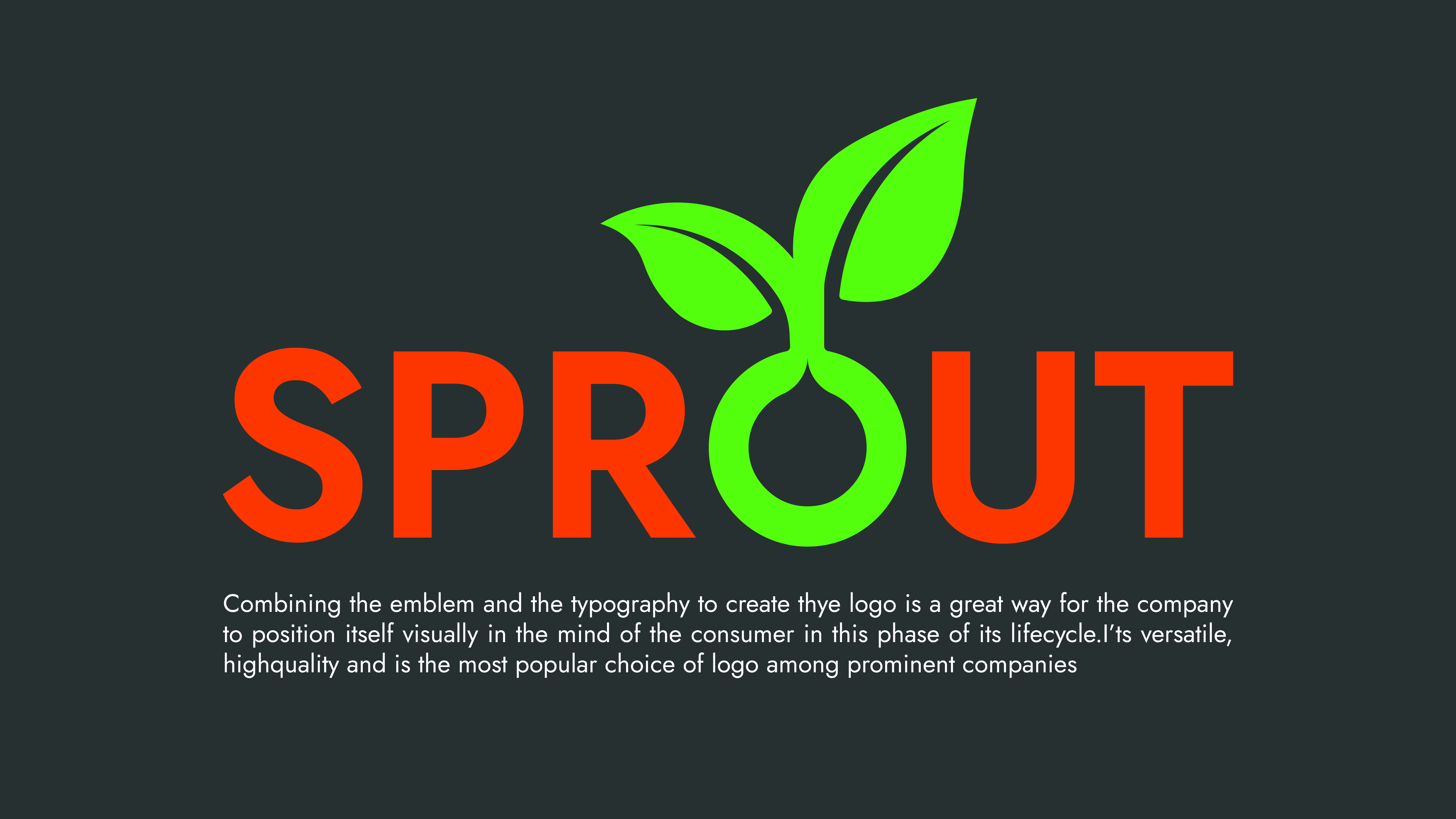 Sprout Guidelines 02