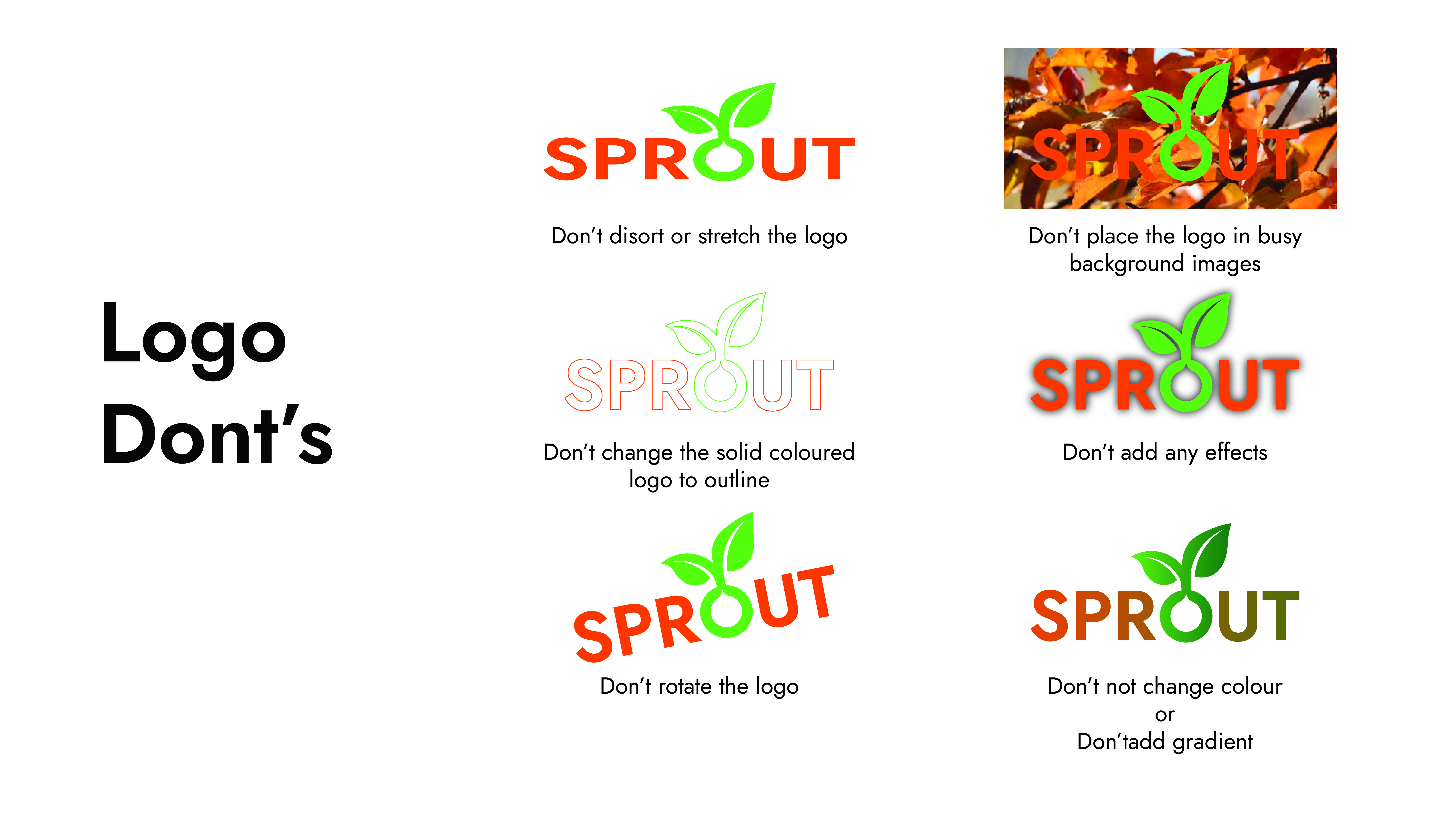 Sprout Guidelines 06